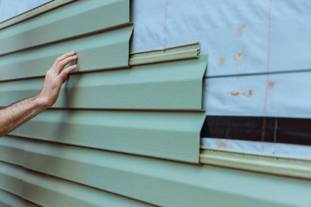 Best Siding Painting and Refinishing  in Sheridan, WY